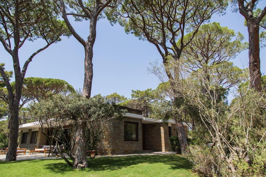 Villa Roccapini Кастильоне-делла-Пеская Экстерьер фото