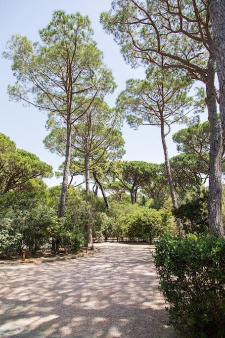 Villa Roccapini Кастильоне-делла-Пеская Экстерьер фото
